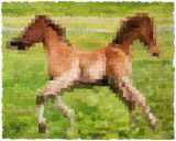 Horse 3